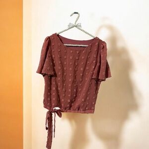 SHEIN Rust Brown Swiss dot chiffon blouse